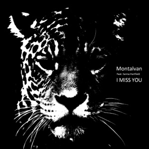 I Miss You - Single