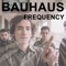 Bauhaus - Frequency lyrics