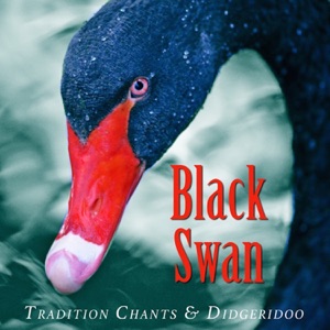 Black Swan: Traditional Chants and Digeridoo