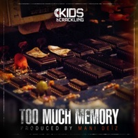 Too Much Memory - Mani Deïz