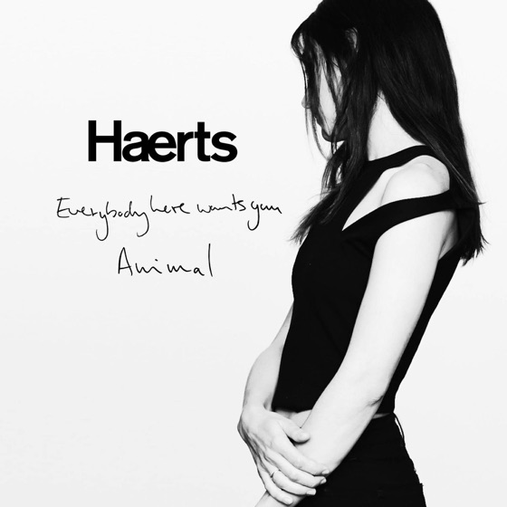 Cover artwork for Animal