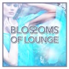 A New Beginning (Lounge Version)