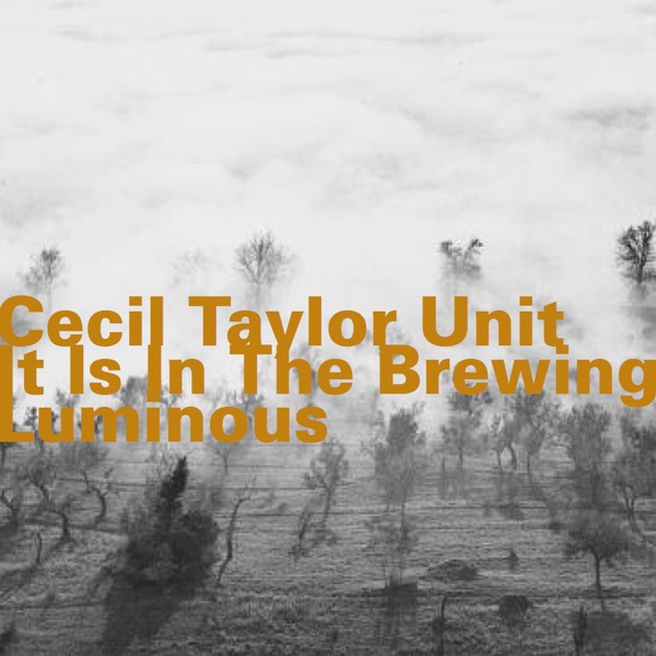 It Is in the Brewing Luminous (Live)