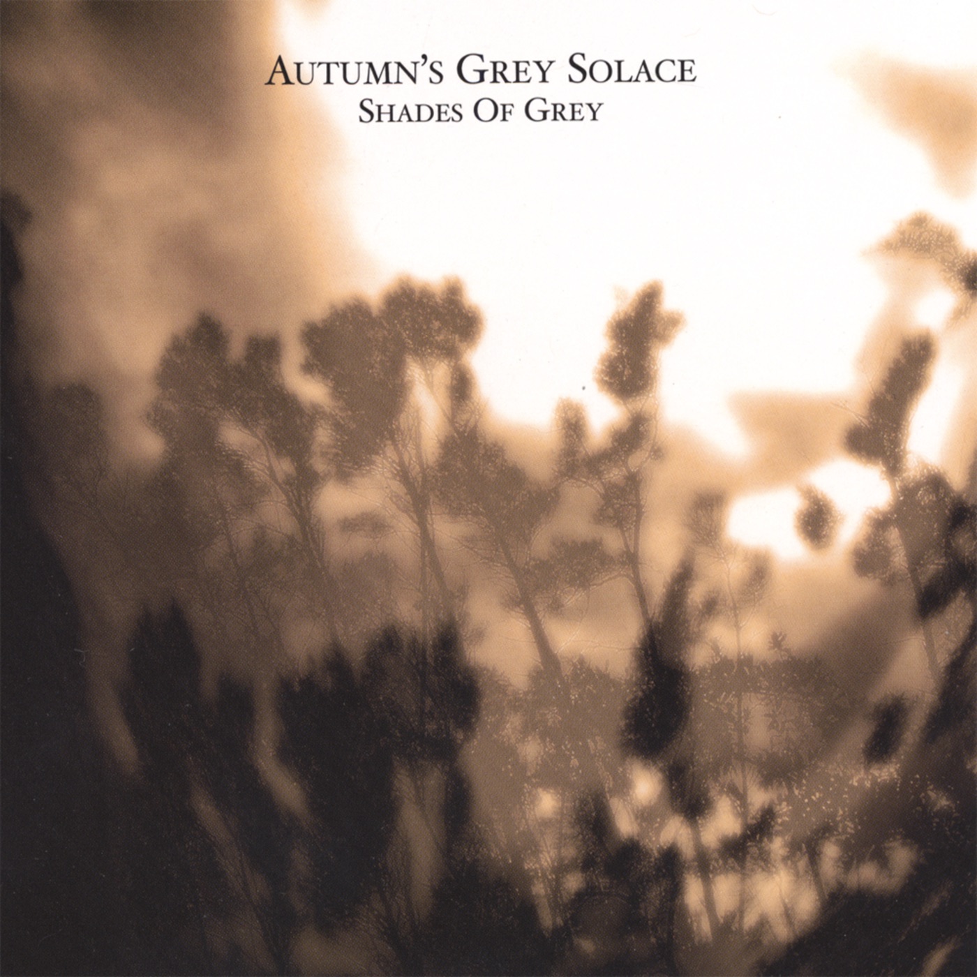 Shades of Grey by Autumn's Grey Solace