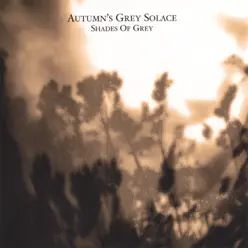 Shades of Grey - Autumn's Grey Solace