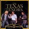 Wild Horses (Live 2014) - The Texas Tenors lyrics