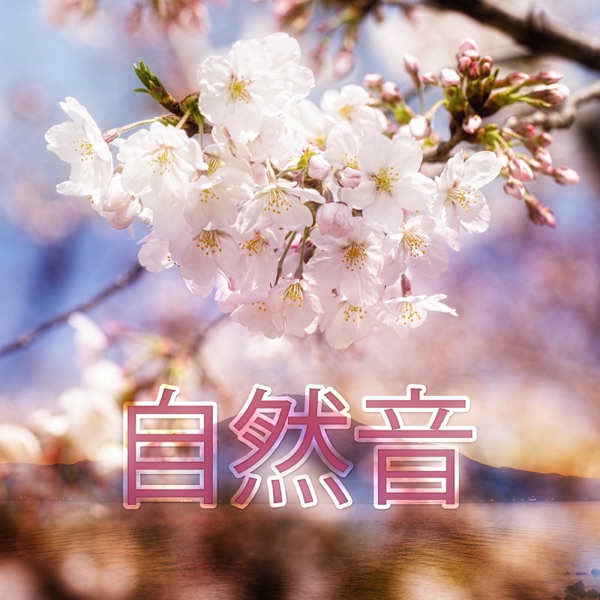 自然音 – 白色雑音, 睡眠, 瞑想, マッサージ, 水の音, 雨, ヨガ, リラックス, リラクゼーション, ストレス解消
