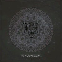 Mission: The Sun (Acoustic)