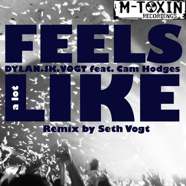 Feels a Lot Like(feat. Cam Hodges) - Single