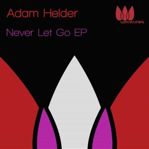 Never Let Go - Single