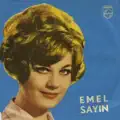 Güz Çiçeği