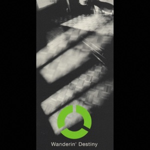 Wanderin' Destiny - Single