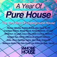 Happy Days (Hatiras Remix) — PJ Danville