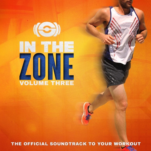 In the Zone, Vol. 3