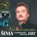 Kad Poletiš, Mala Ptico