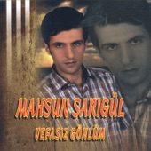 Vefasız Gönlüm - EP artwork
