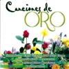 Canciones De Oro