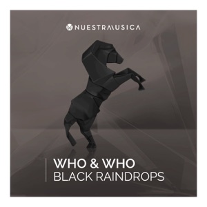 Black Raindrops - Single