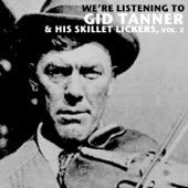 We're Listening to Gid Tanner & His Skillet Lickers, Vol. 2