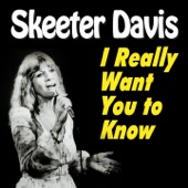 I Really Want You to Know (27 Hits and Rare Songs) artwork
