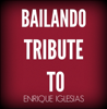 Bailando - Starstruck Backing Tracks