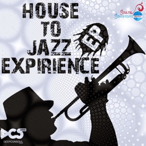 House to Jazz Experience - Single