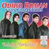 Odilio Román Y Los Románticos - Ama'emintema Nderehe