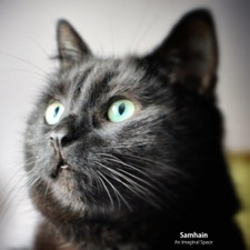 An Imaginal Space - Isle of the Dead