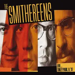 At the Tinley Park, IL '91 (Live) - The Smithereens