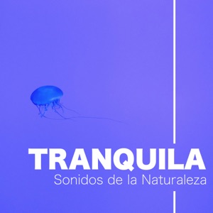 Música Tranquila New Age con Sonidos de la Naturaleza