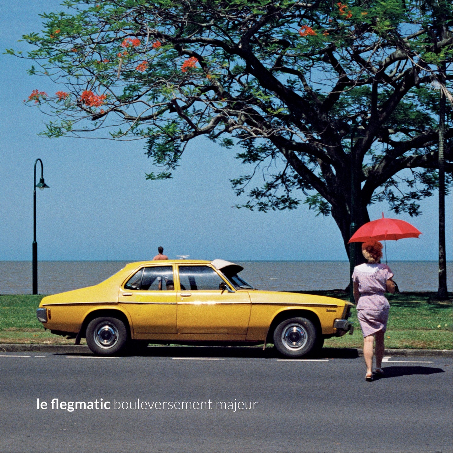 Le Flegmatic - Tu es venue me parler