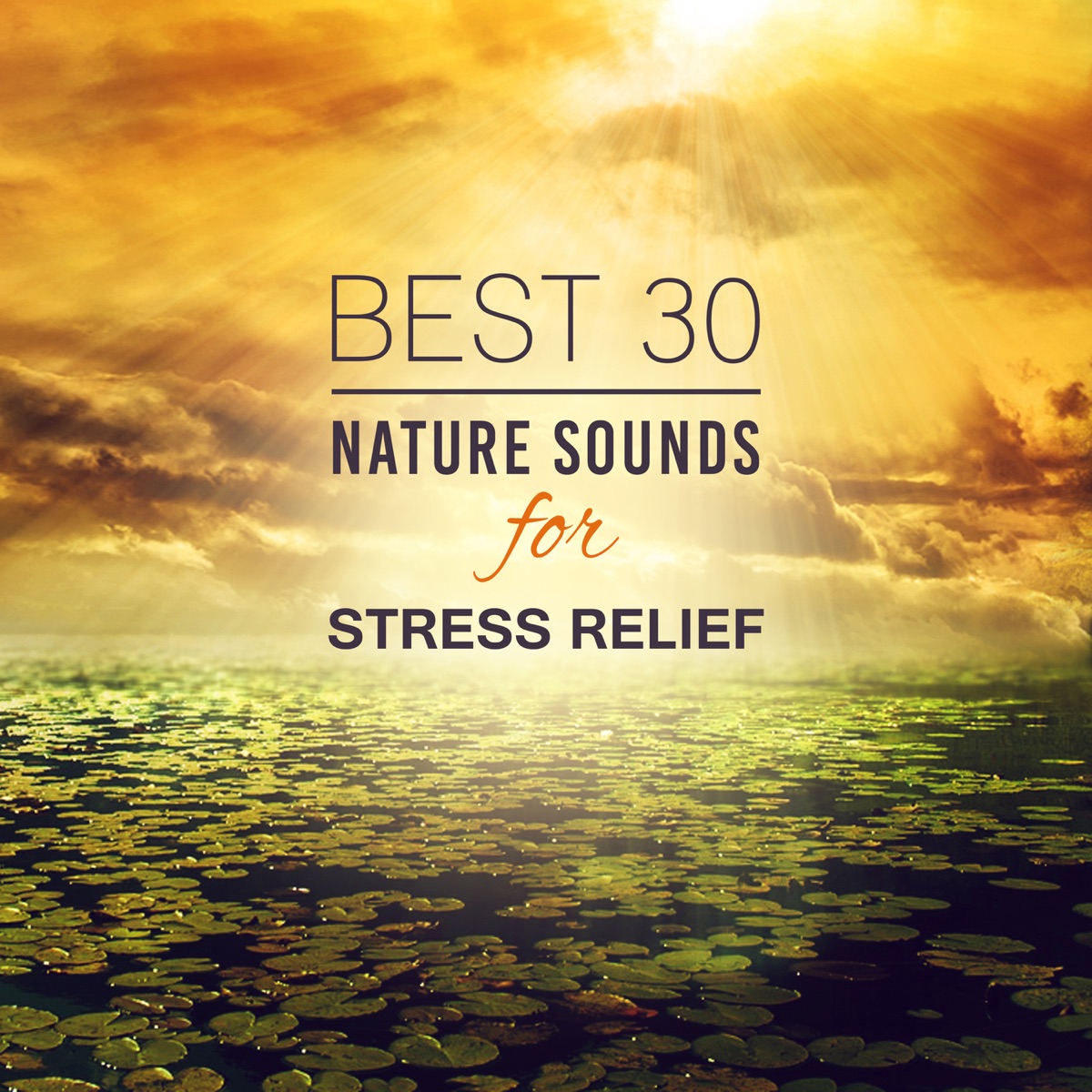 Stress Relief - Apple Music