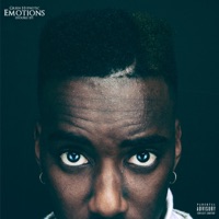 Emotions (Double EP) - Green Hypnotic