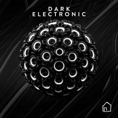 Dark Electronic