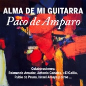 De Raiz Gitana (Soleá Por Bulerías) [feat. Rubio De Pruna] artwork