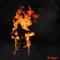 Profit - Donny Cash lyrics