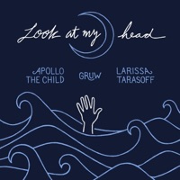 Look at My Head (feat. Apollo the Child, Gruw & Larissa Tarasoff) - Single - The Disclaimerz