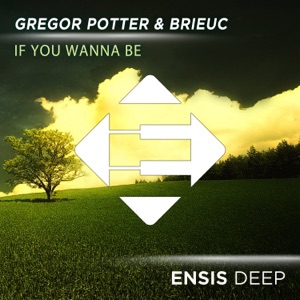 If You Wanna Be - Single