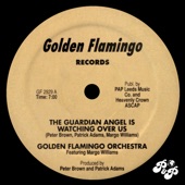 Golden Flamingo Orchestra - The Guardian Angel Is Watching Over Us