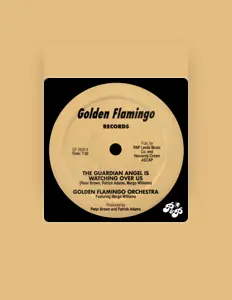 Listen to Golden Flamingo Orchestra, watch music videos, read bio, see tour dates & more!
