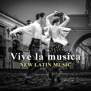 Vive la música: New Latin Music – Song for Bachata, Merengue, Salsa, Hot Latin Rhythms, Latin Jazz