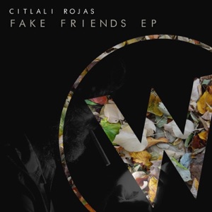 Fake Friends - Single
