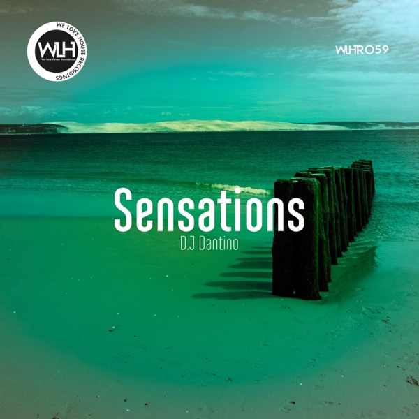 Sensations - Single