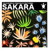 Sakara (feat. Sobek) artwork