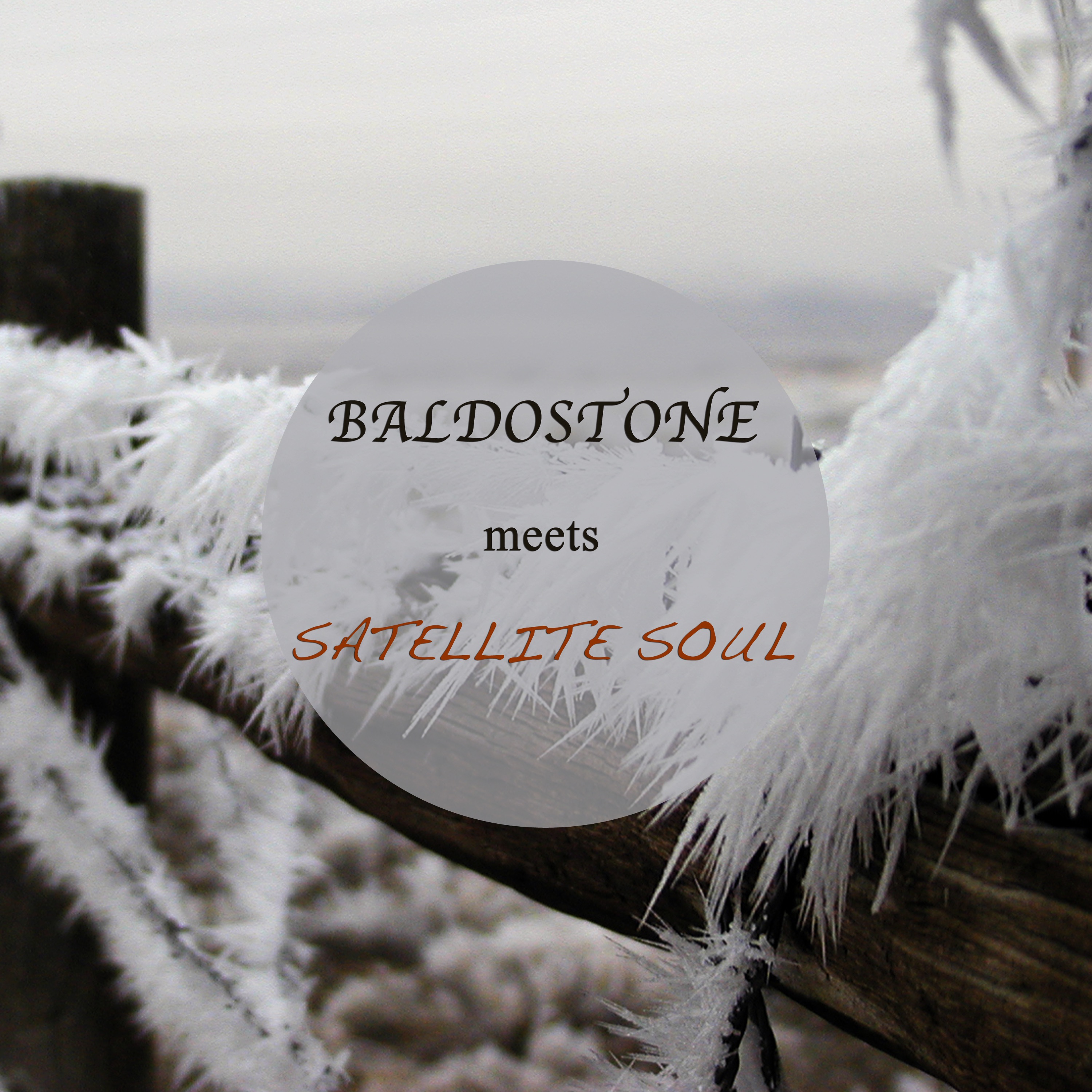 Baldostone Meets Satellite Soul