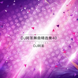 节奏太快会撞到地上(加快版) DJ阿圣