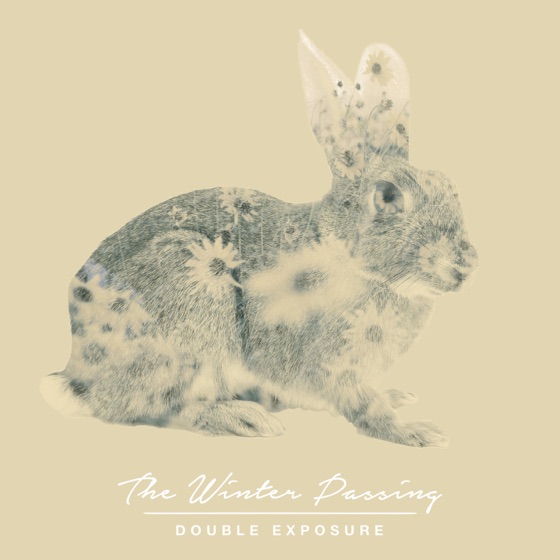 Cover artwork for Paper Rabbit