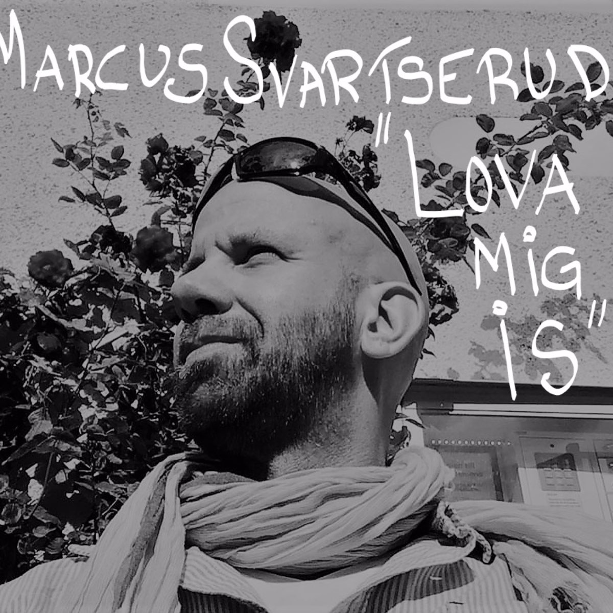 Lova Mig Is by Marcus Svartserud on Apple Music