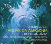 Aguas da Amazonia: II. Japurá River artwork