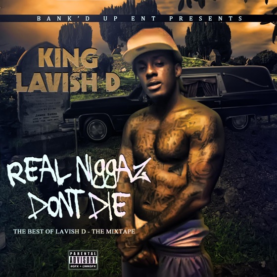 Cover artwork for Project Nigga